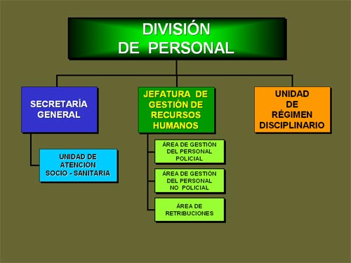 Division-de-Personal- CNP