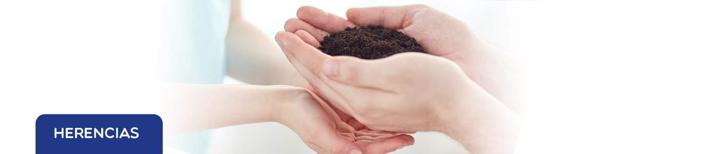herencias