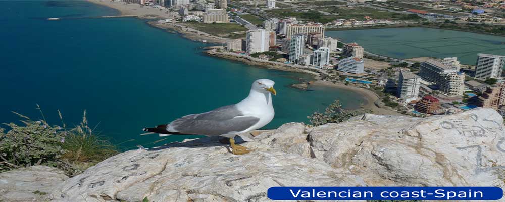 coast valencian coast valencian
