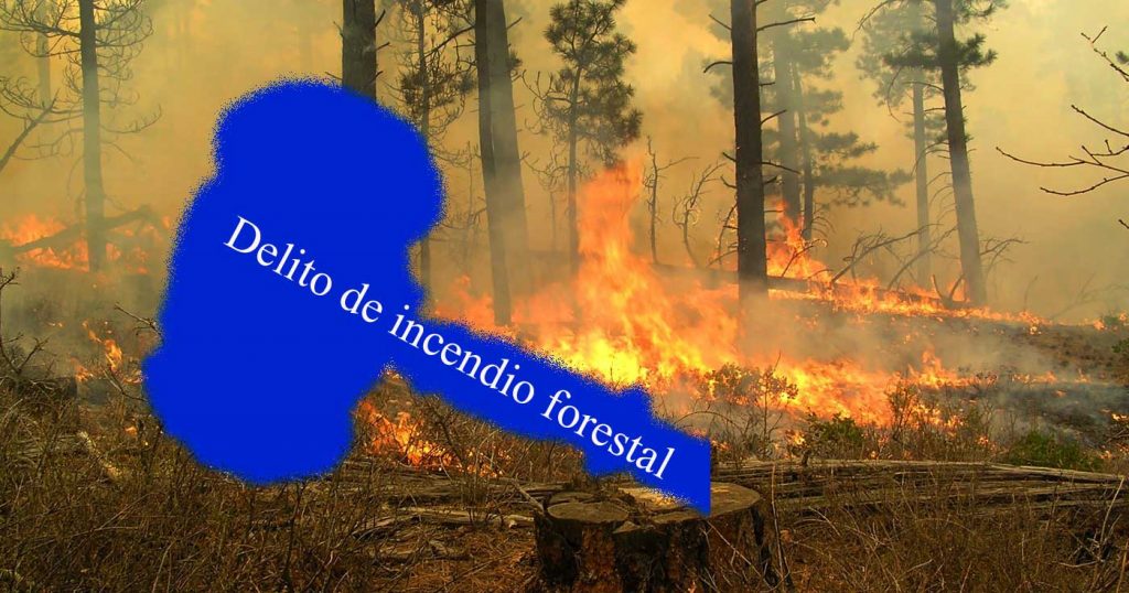 delito incendio forestal