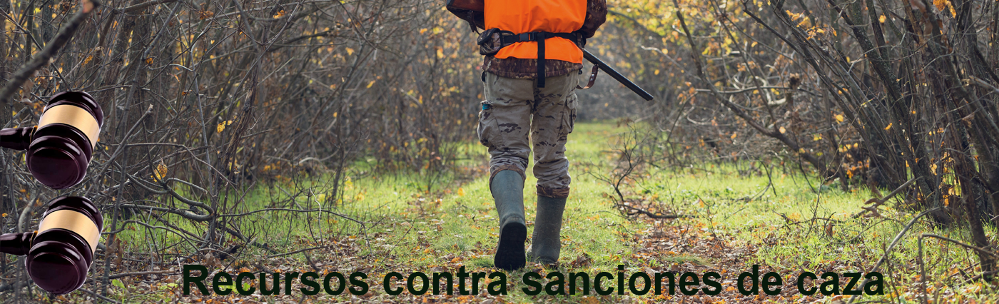 recursos contra sanciones de caza